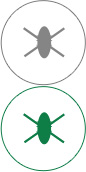 JBO官网高效抗菌