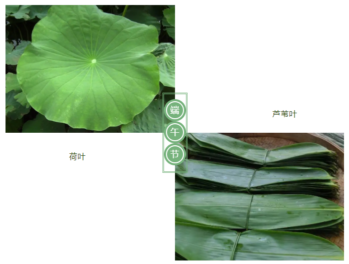 JBO官网医纺