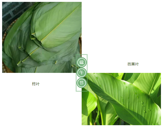 JBO官网医纺